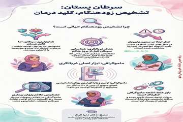 info (29)